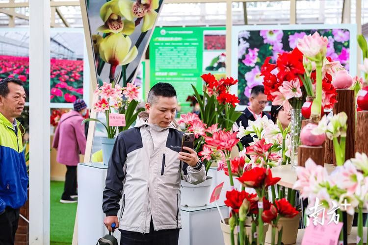 海水龍魚(yú)圖片大全大圖高清