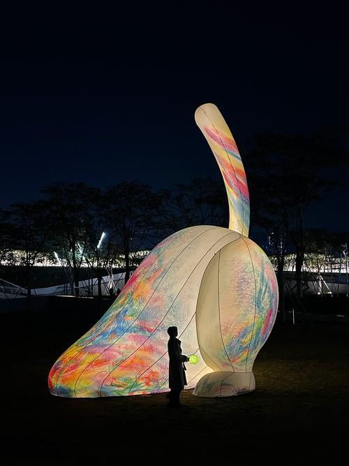 海水龍魚(yú)圖片大全大圖高清