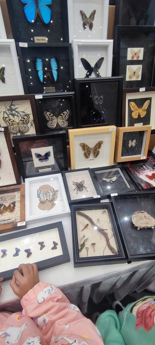 海水龍魚(yú)圖片大全大圖高清