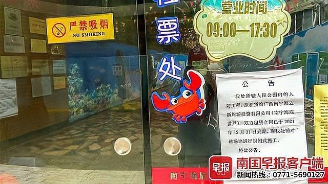 南寧開水族店怎么樣？加盟祥龍魚場賣龍魚市場怎樣？