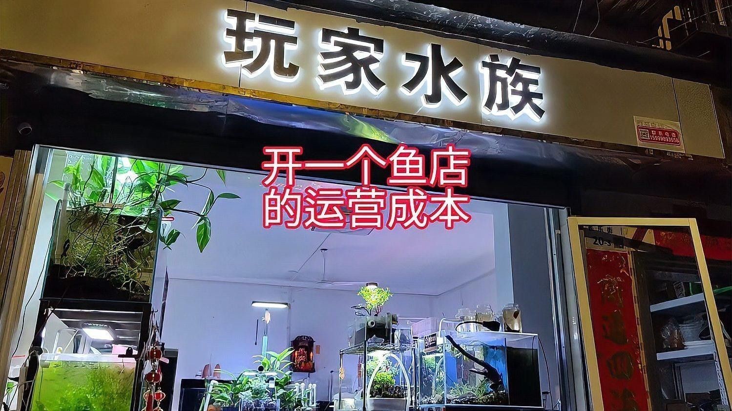 和龍開水族店怎么樣？加盟祥龍魚場賣龍魚市場怎樣？