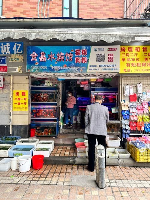 上街開水族店怎么樣？加盟祥龍魚場賣龍魚市場怎樣？