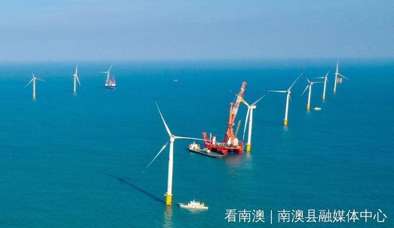 南澳開水族店怎么樣？加盟祥龍魚場賣龍魚市場怎樣？