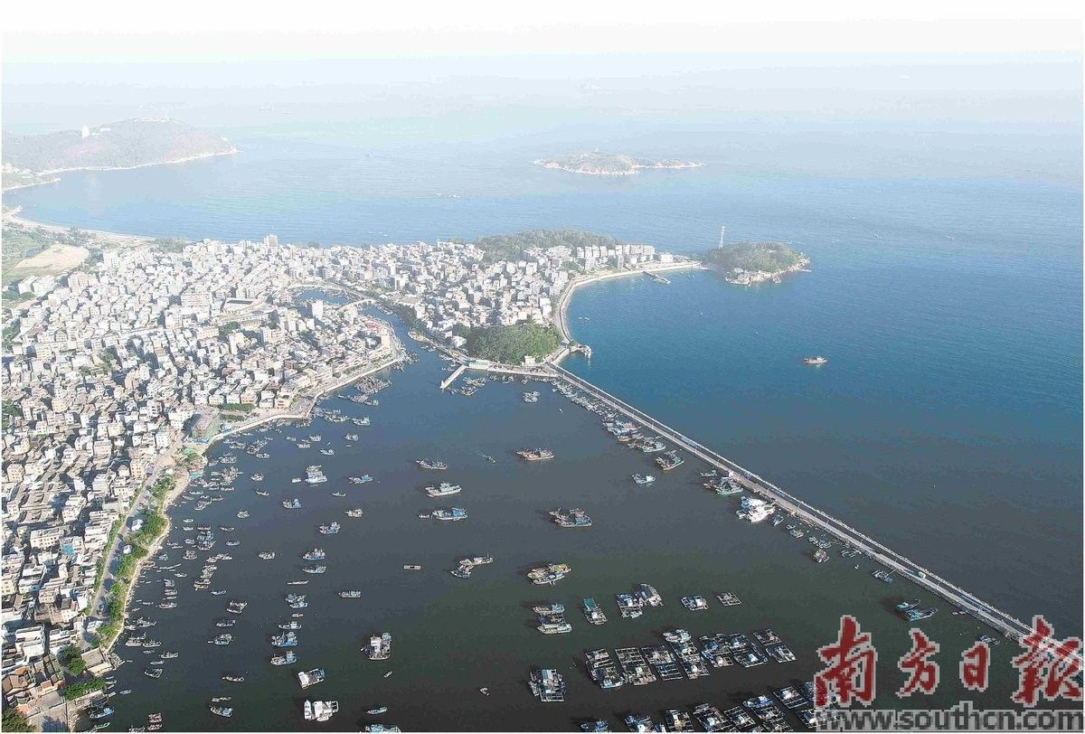 南澳開水族店怎么樣？加盟祥龍魚場賣龍魚市場怎樣？