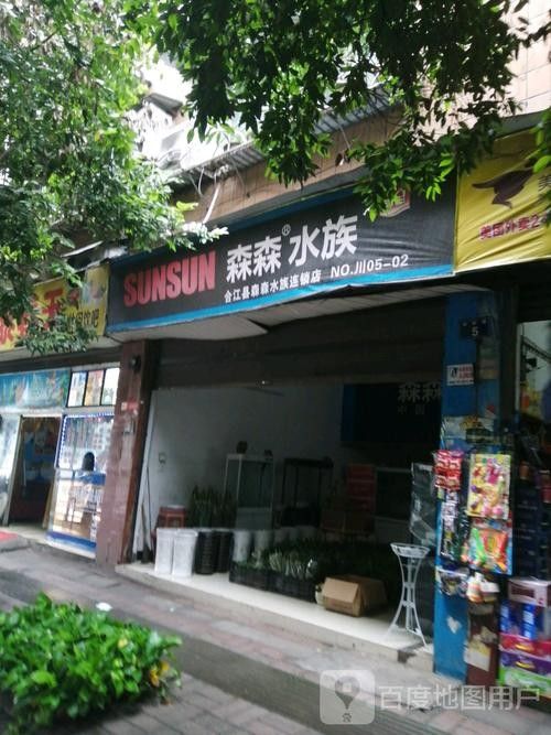 合江開水族店怎么樣？加盟祥龍魚場賣龍魚市場怎樣？