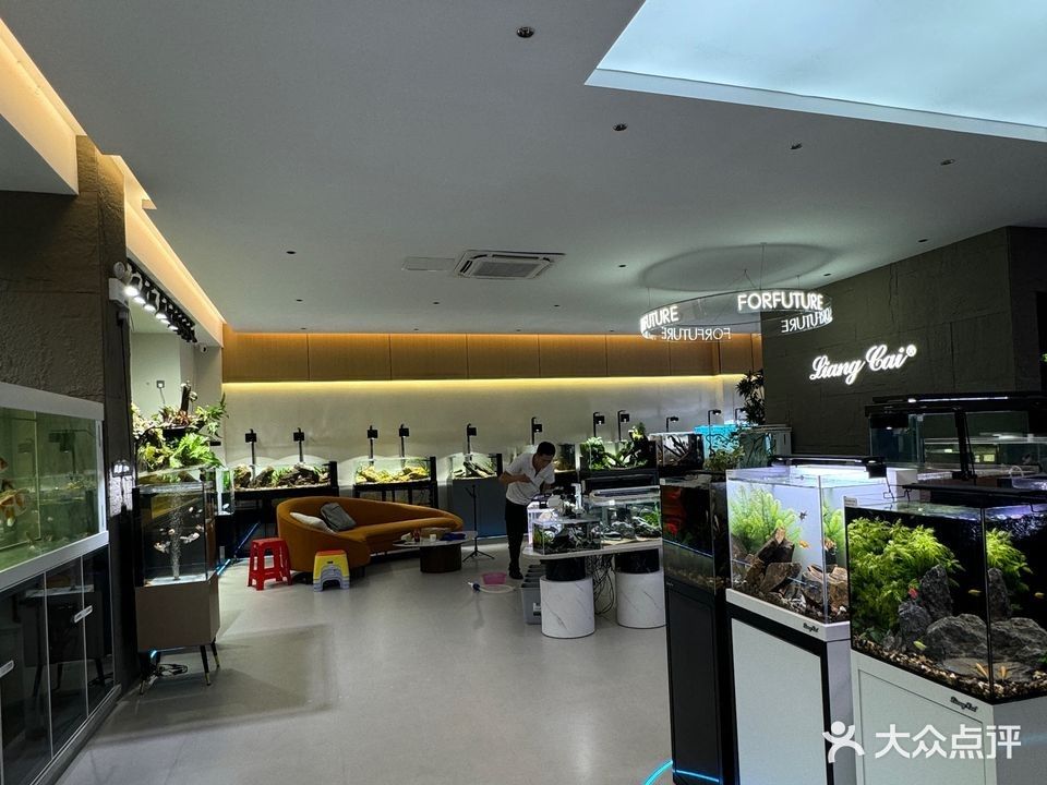 長安開水族店怎么樣？加盟祥龍魚場賣龍魚市場怎樣？