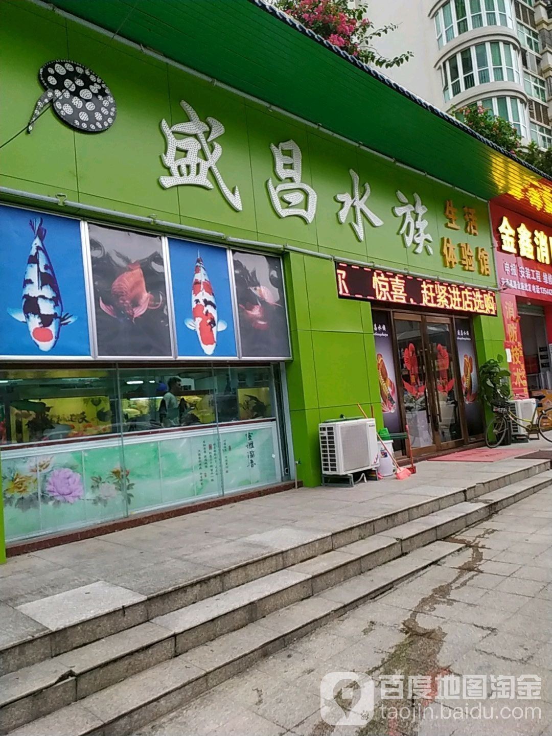 長安開水族店怎么樣？加盟祥龍魚場賣龍魚市場怎樣？