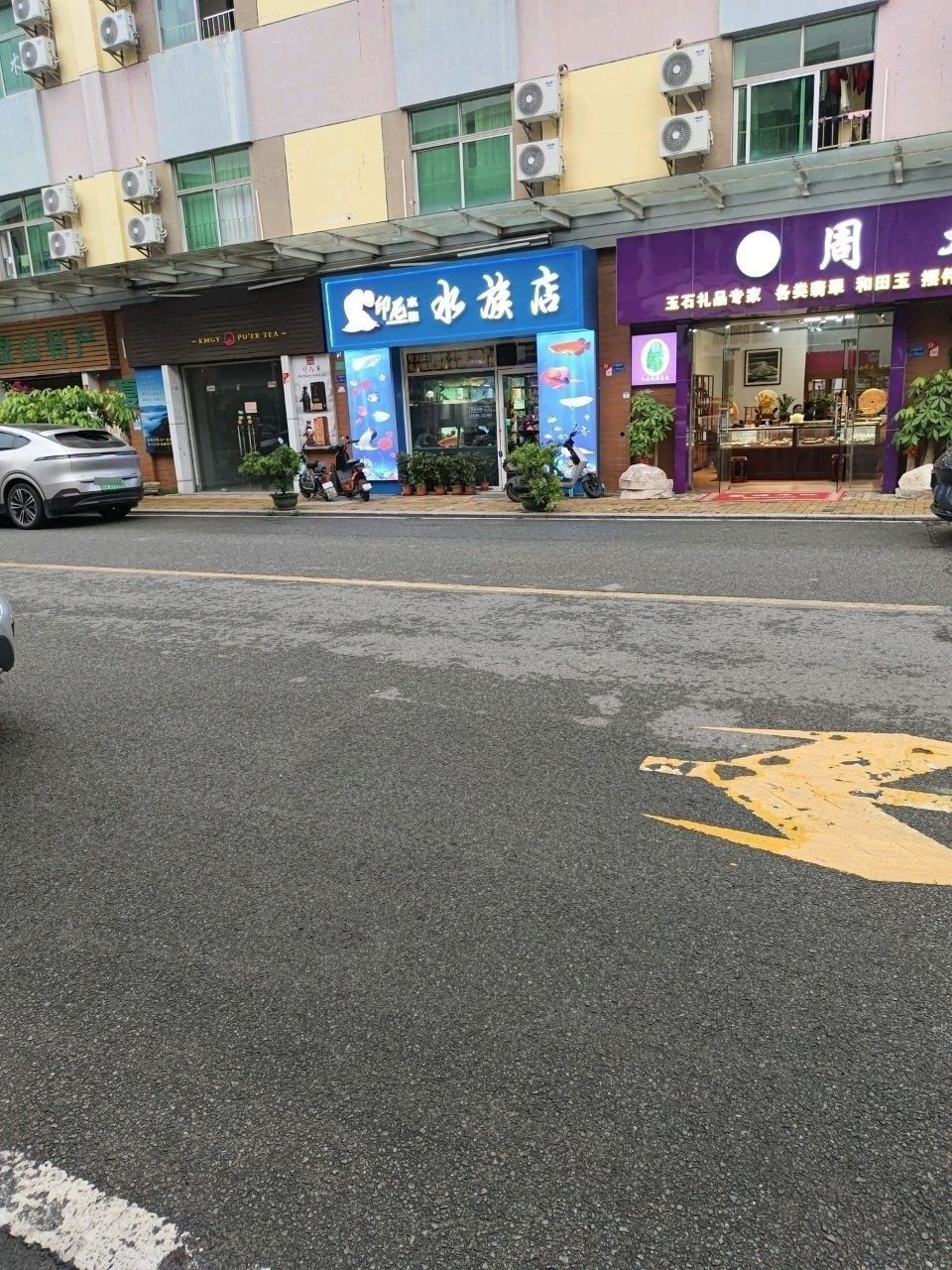 長安開水族店怎么樣？加盟祥龍魚場賣龍魚市場怎樣？