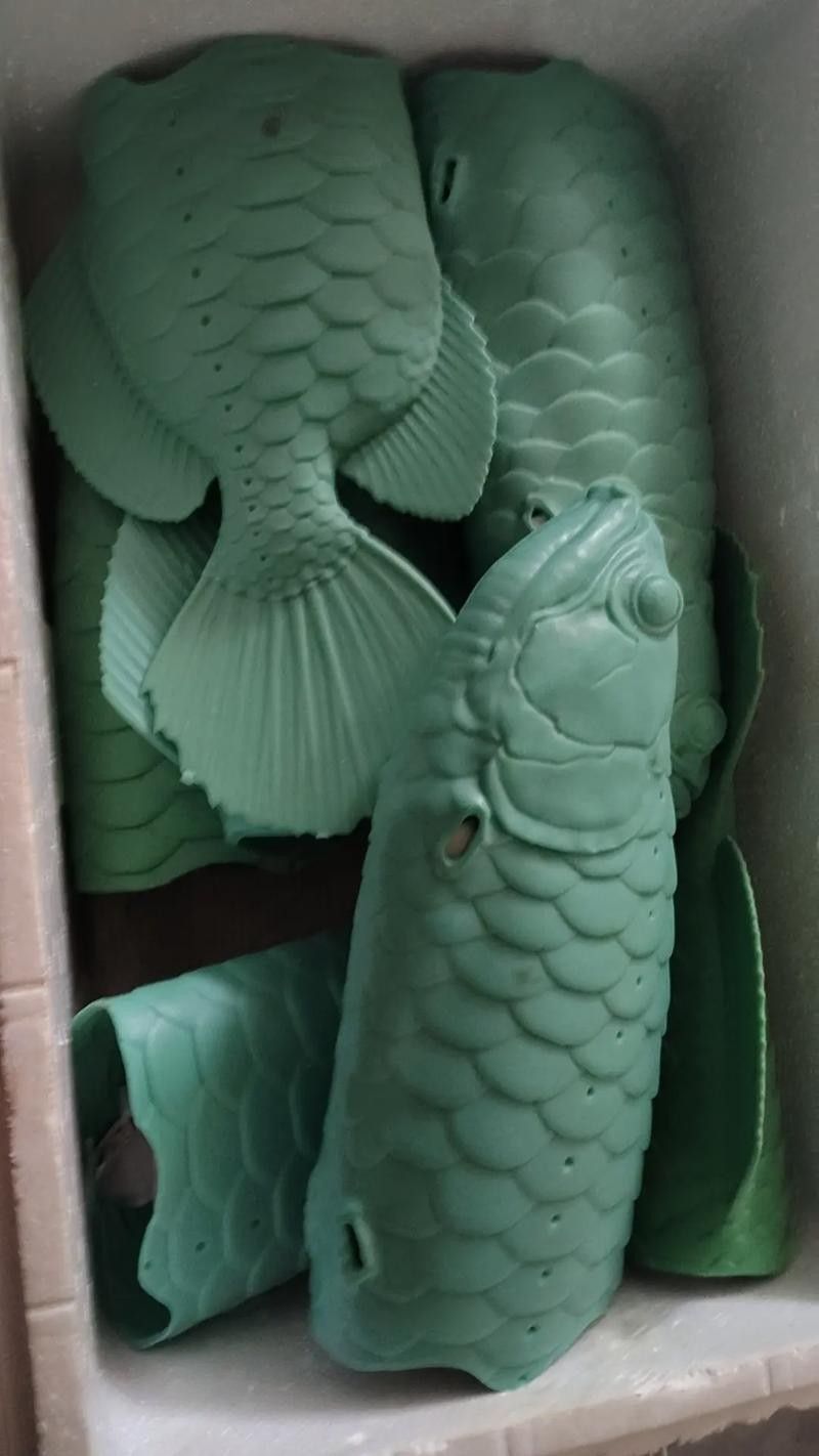 象州開水族店怎么樣？加盟祥龍魚場賣龍魚市場怎樣？