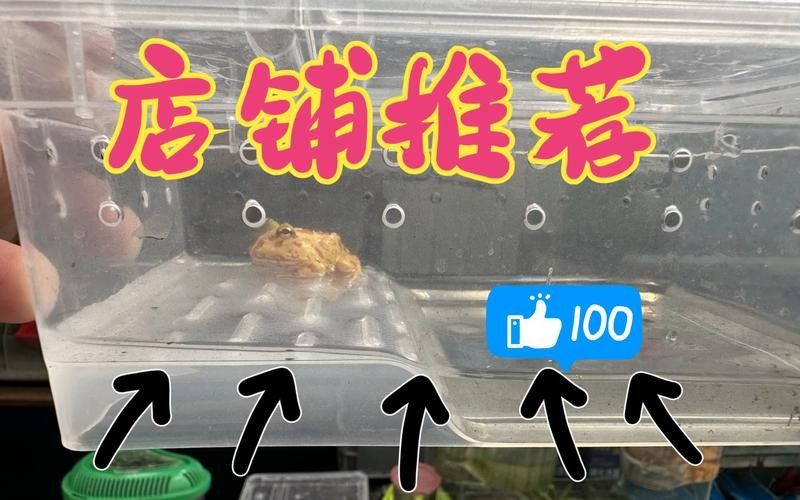 大慶開水族店怎么樣？加盟祥龍魚場賣龍魚市場怎樣？