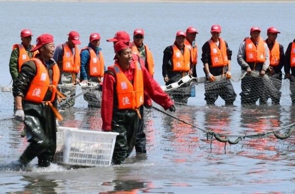 大慶開水族店怎么樣？加盟祥龍魚場賣龍魚市場怎樣？