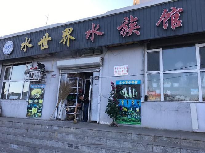大慶開水族店怎么樣？加盟祥龍魚場賣龍魚市場怎樣？