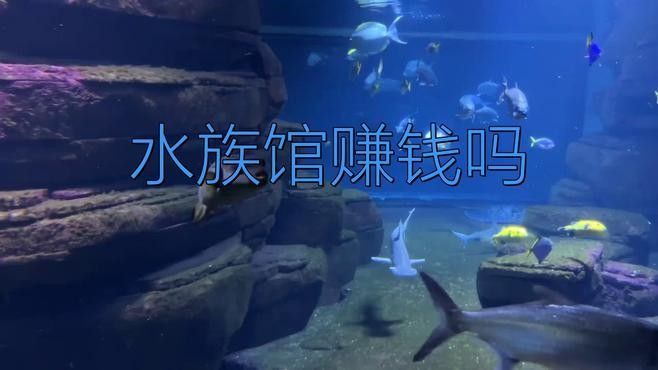 龍井開水族店怎么樣？加盟祥龍魚場賣龍魚市場怎樣？ 龍井開水族店怎么樣？加盟祥龍魚場賣龍魚市場怎樣？ 水族館百科（水族館加盟） 第10張