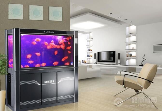 城西開水族店怎么樣？加盟祥龍魚場賣龍魚市場怎樣？