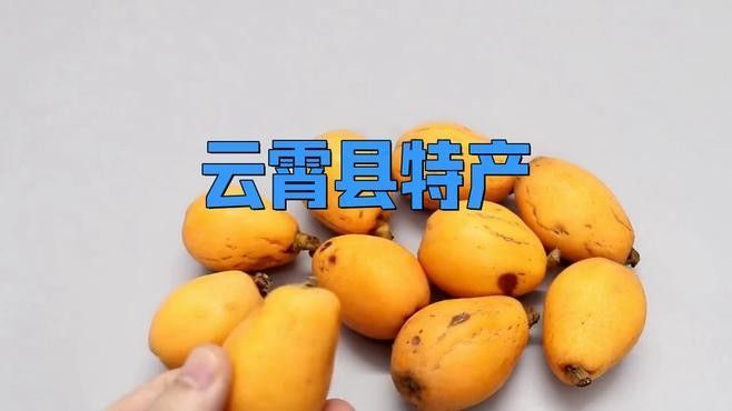 云霄開水族店怎么樣？加盟祥龍魚場賣龍魚市場怎樣？