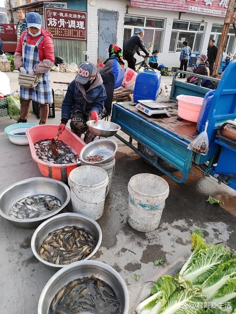 洛龍開水族店怎么樣？加盟祥龍魚場賣龍魚市場怎樣？