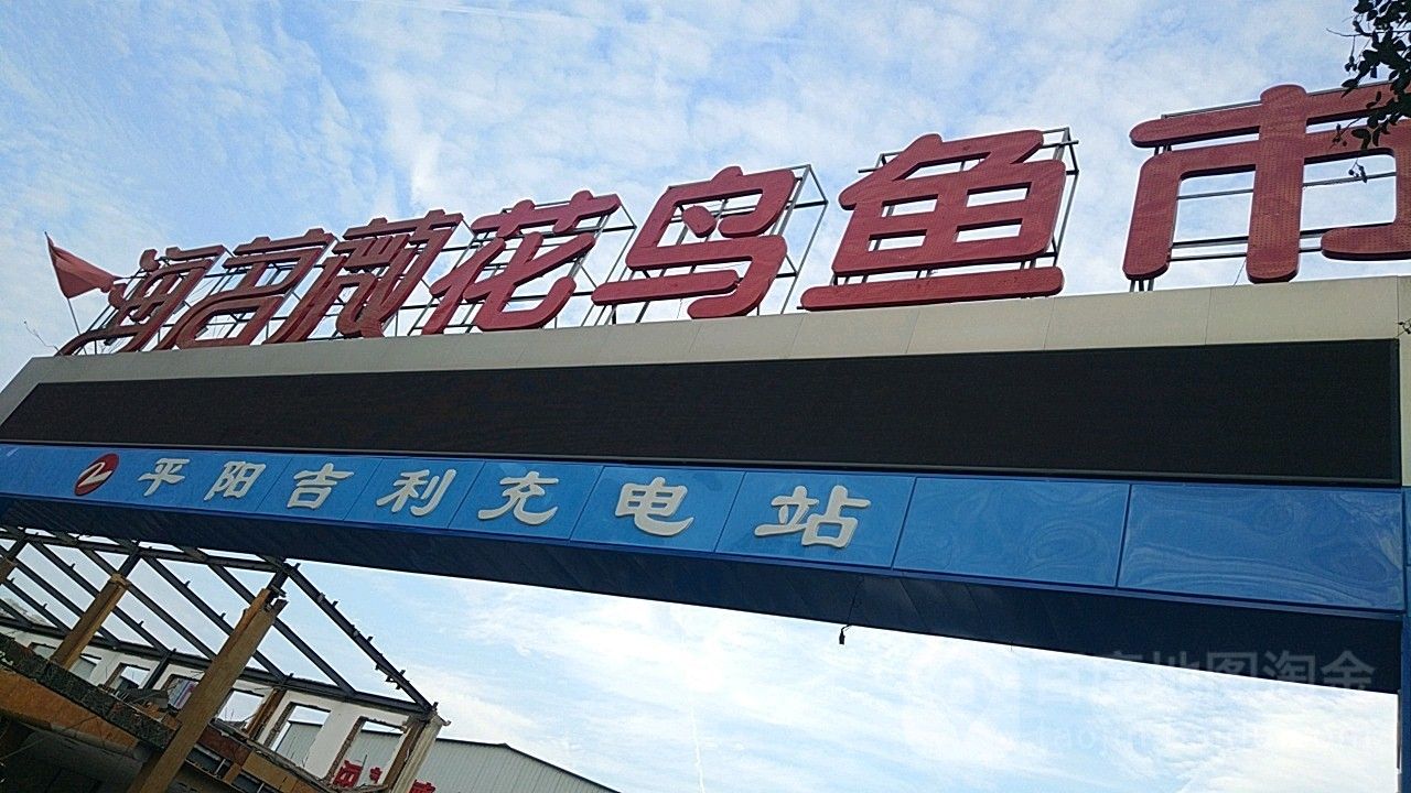 漣源開水族店怎么樣？加盟祥龍魚場賣龍魚市場怎樣？
