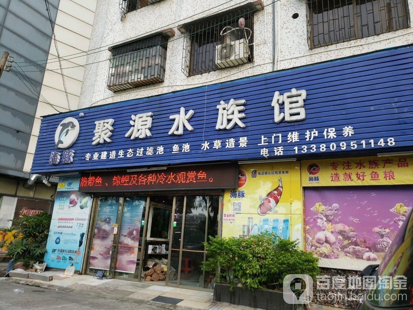 江門開水族店怎么樣？加盟祥龍魚場(chǎng)賣龍魚市場(chǎng)怎樣？