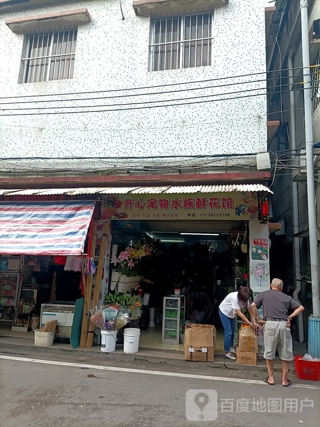 江門開水族店怎么樣？加盟祥龍魚場(chǎng)賣龍魚市場(chǎng)怎樣？