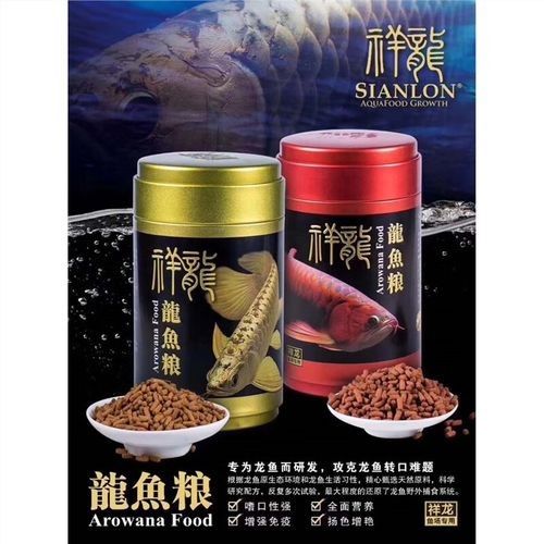 任城開水族店怎么樣？加盟祥龍魚場賣龍魚市場怎樣？