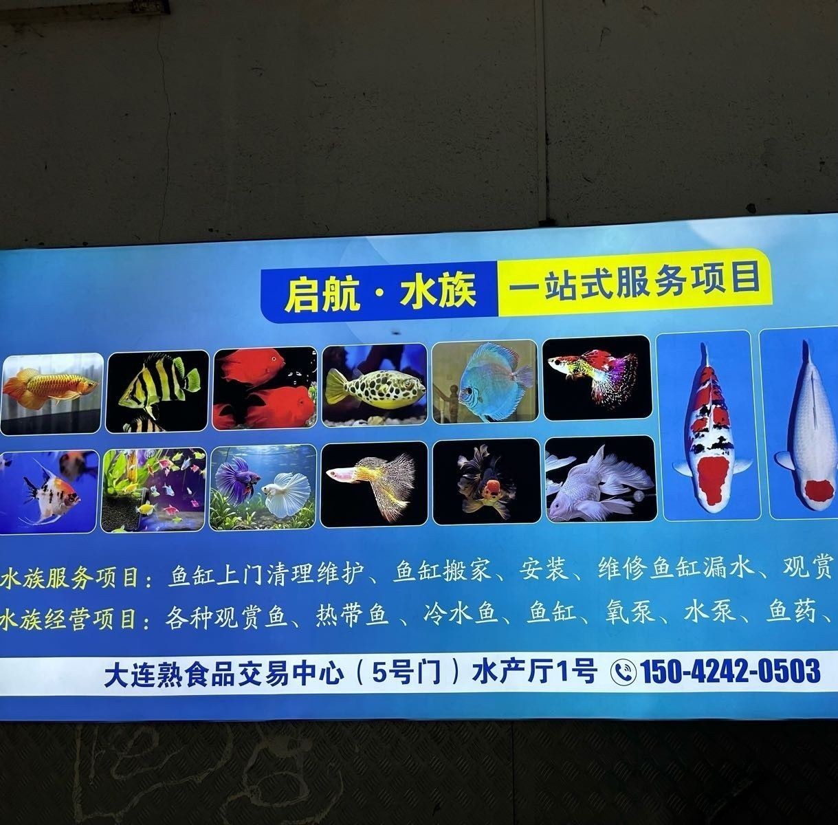 沙<strong><mark>河口</mark></strong>開水族店怎么樣？加盟祥龍魚場賣龍魚市場怎樣？