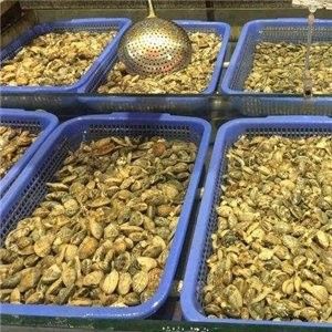 沙河口開水族店怎么樣？加盟祥龍魚場賣龍魚市場怎樣？