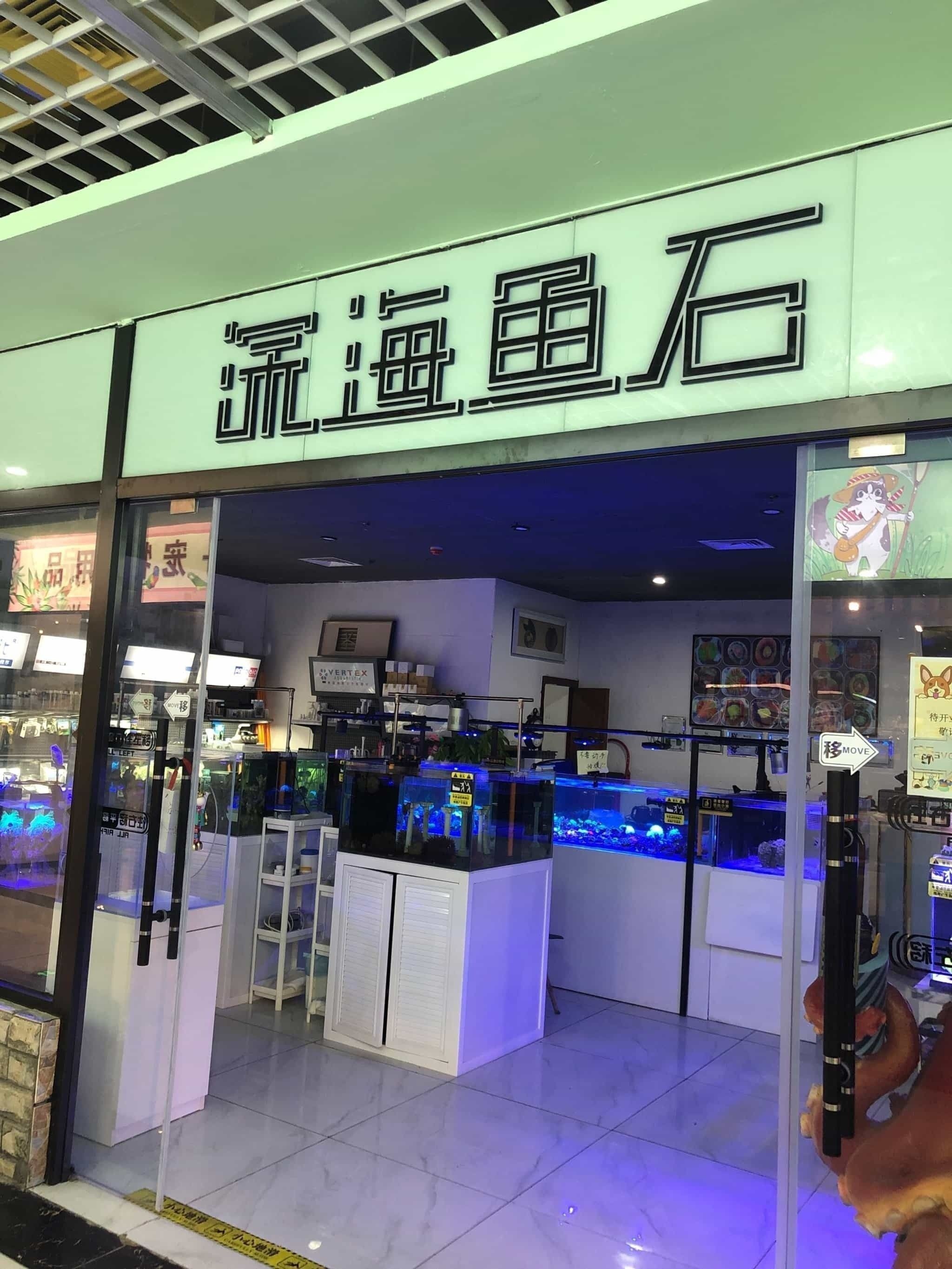 沙河口開水族店怎么樣？加盟祥龍魚場賣龍魚市場怎樣？