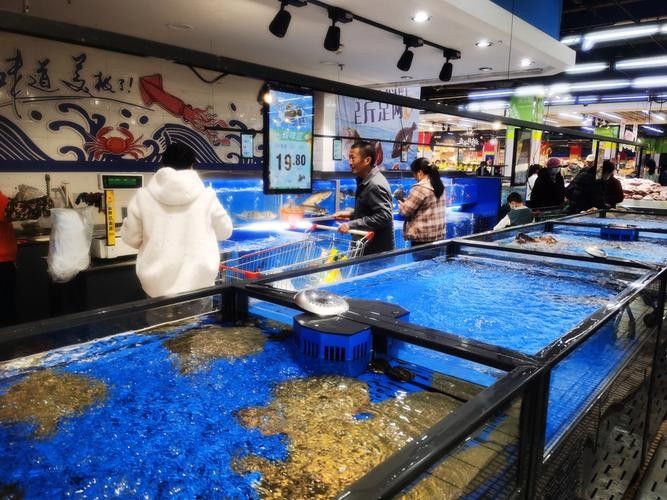 海城開水族店怎么樣？加盟祥龍魚場(chǎng)賣龍魚市場(chǎng)怎樣？