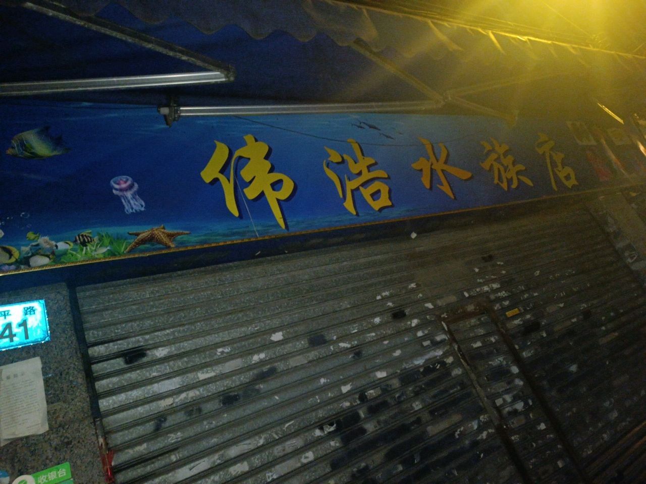 青銅峽開水族店怎么樣？加盟祥龍魚場賣龍魚市場怎樣？