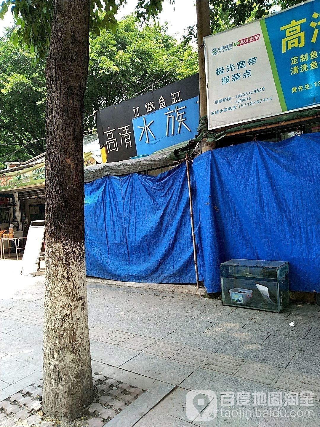 青銅峽開水族店怎么樣？加盟祥龍魚場賣龍魚市場怎樣？