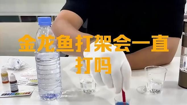 龍魚打架會自己停嗎？