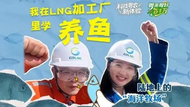 納雍開水族店怎么樣？加盟祥龍魚場賣龍魚市場怎樣？