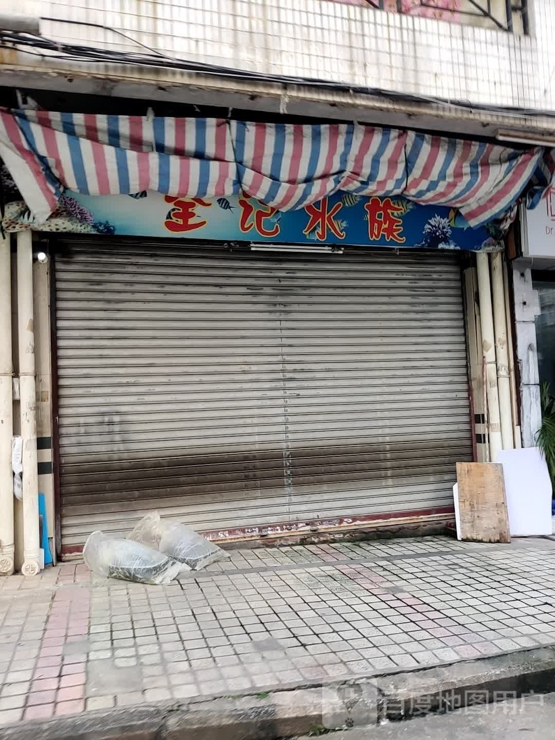 <strong><mark>蓬江</mark></strong>開水族店怎么樣？加盟祥龍魚場賣龍魚市場怎樣？