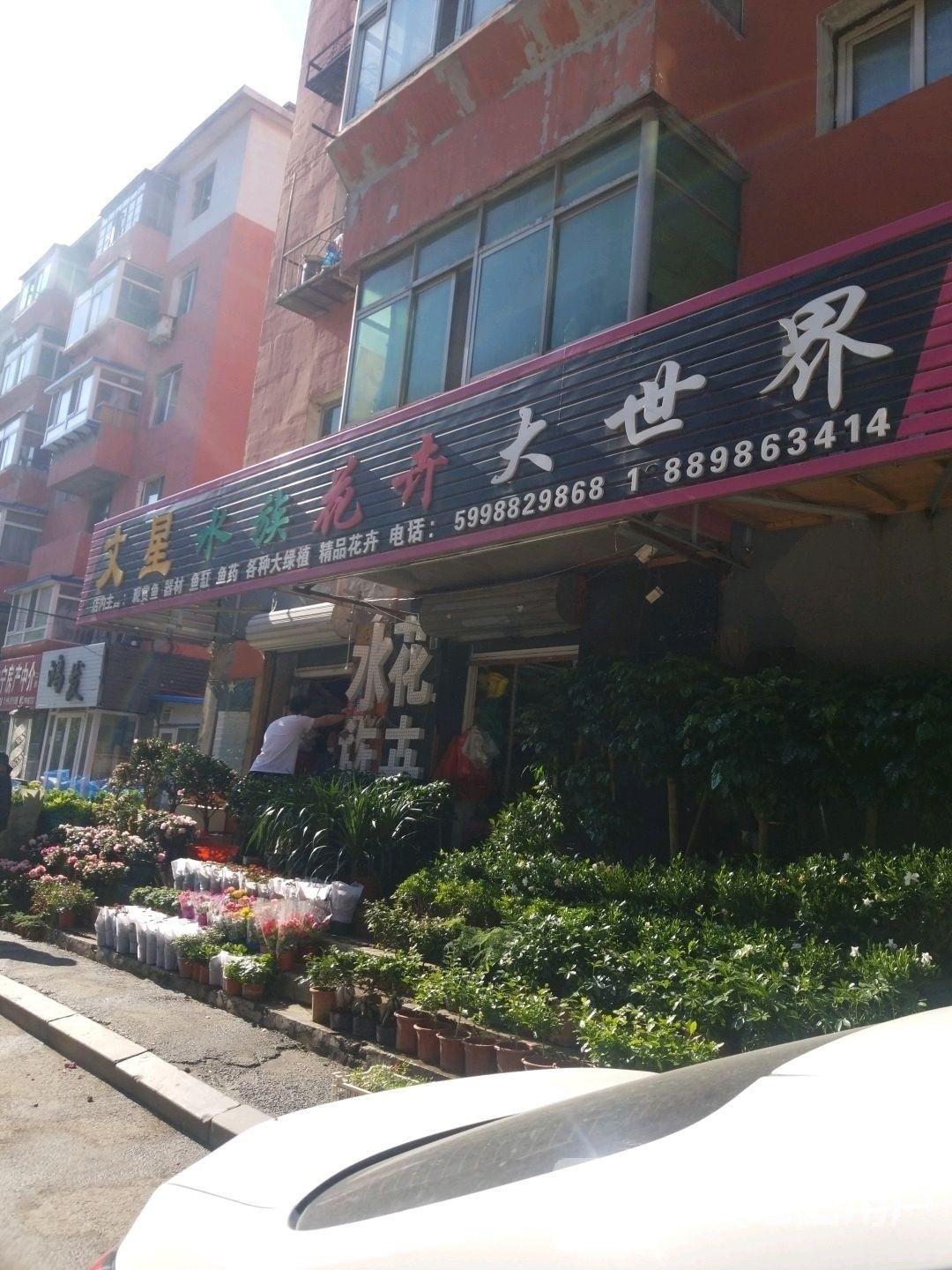 于洪開水族店怎么樣？加盟祥龍魚場賣龍魚市場怎樣？