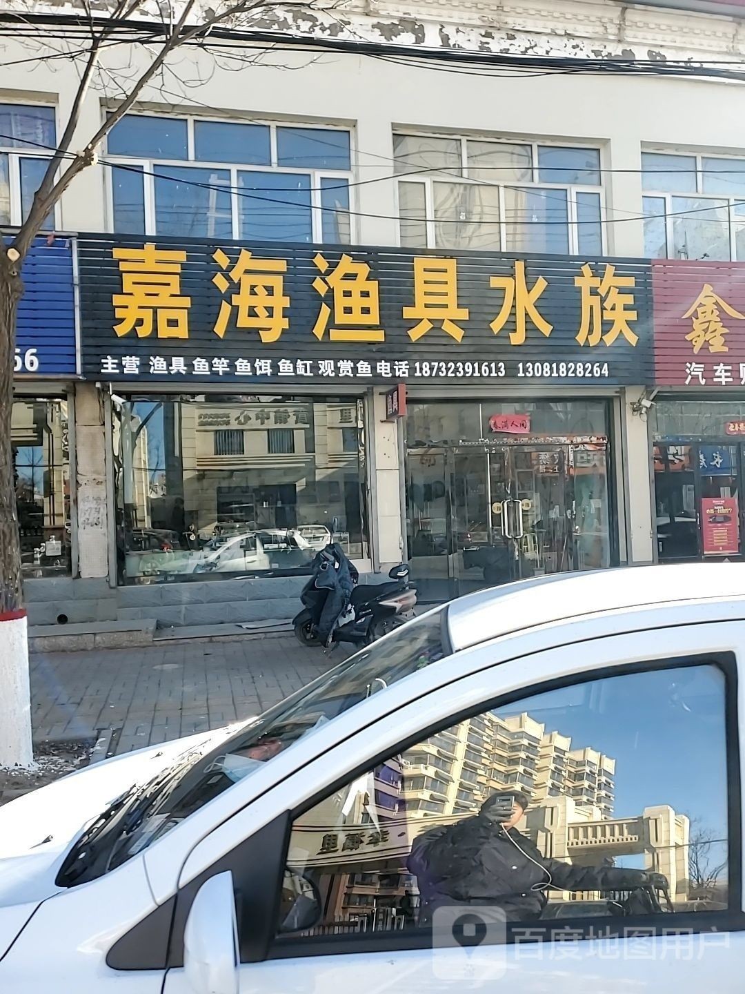 蔚縣開水族店怎么樣？加盟祥龍魚場(chǎng)賣龍魚市場(chǎng)怎樣？