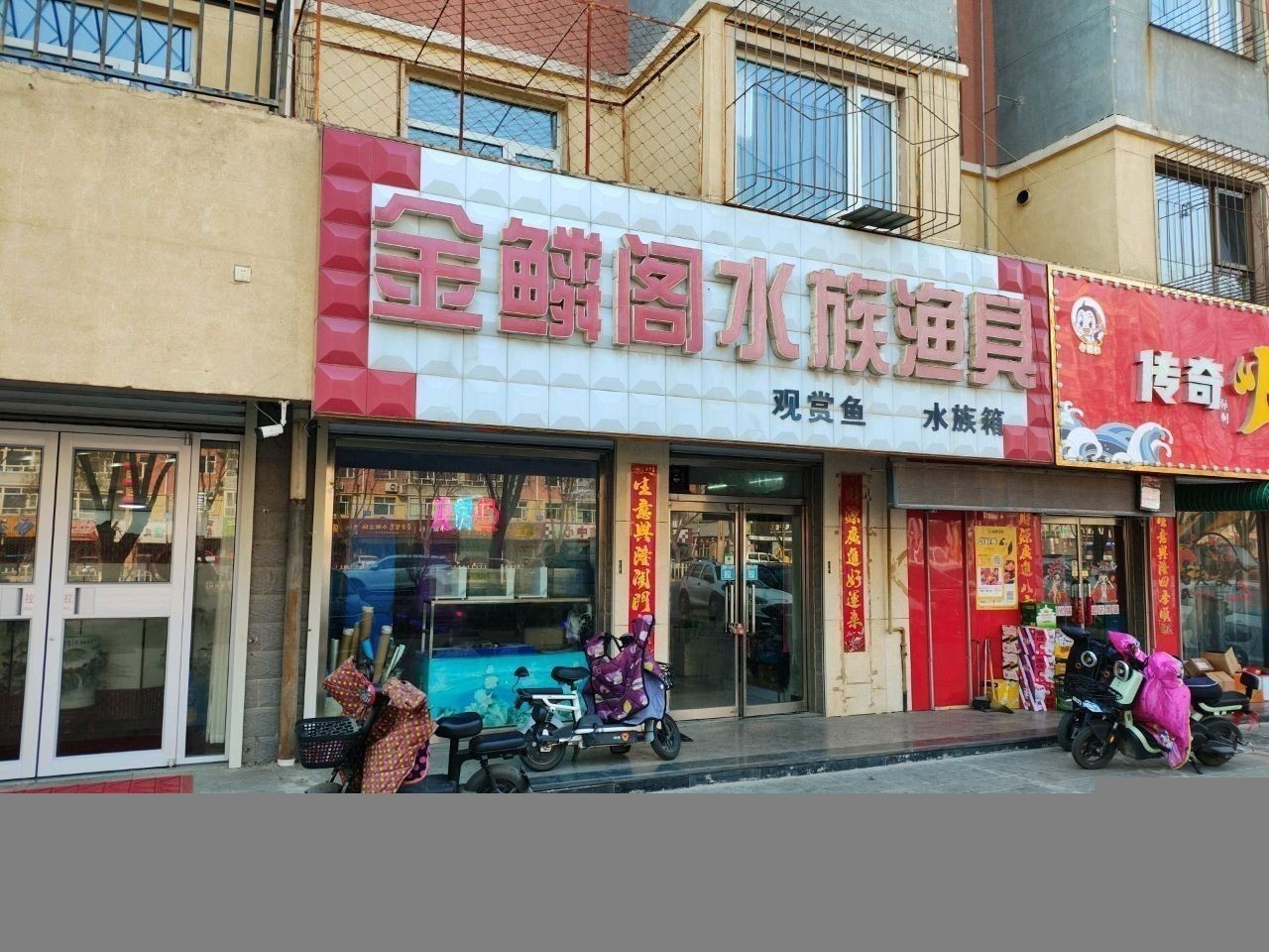 蔚縣開水族店怎么樣？加盟祥龍魚場(chǎng)賣龍魚市場(chǎng)怎樣？