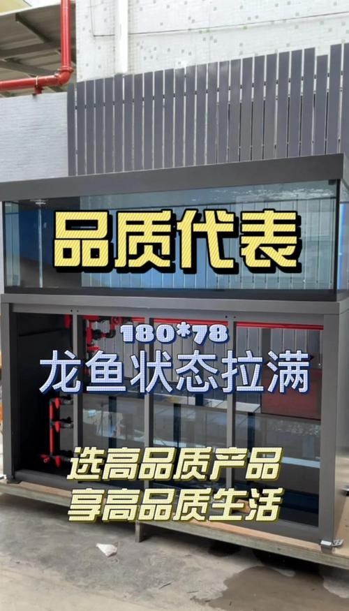 龍灣開水族店怎么樣？加盟祥龍魚場賣龍魚市場怎樣？