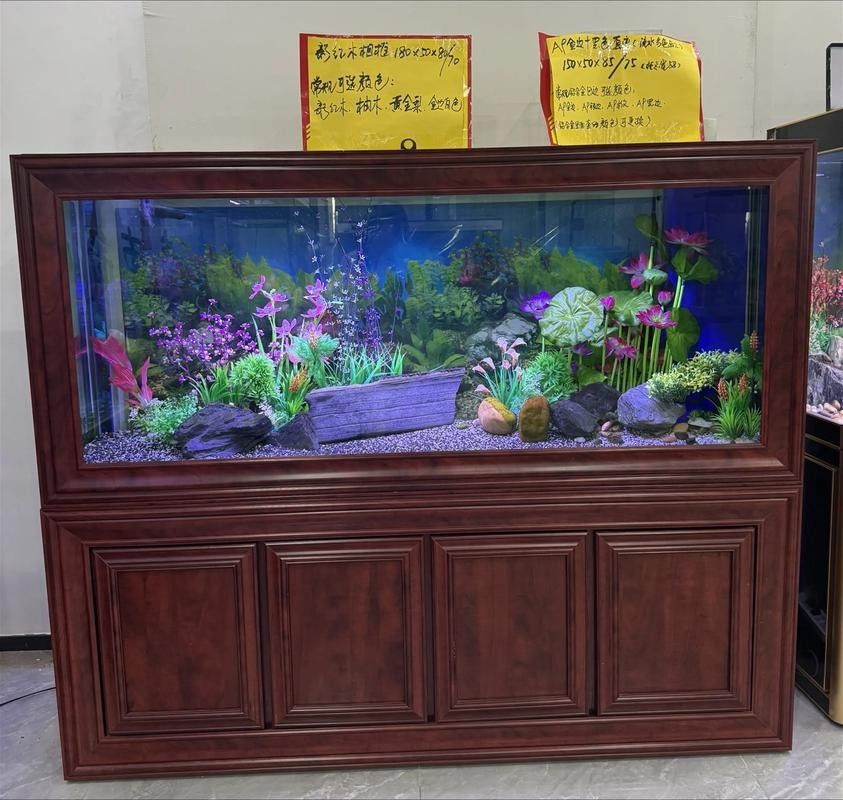 龍灣開水族店怎么樣？加盟祥龍魚場賣龍魚市場怎樣？