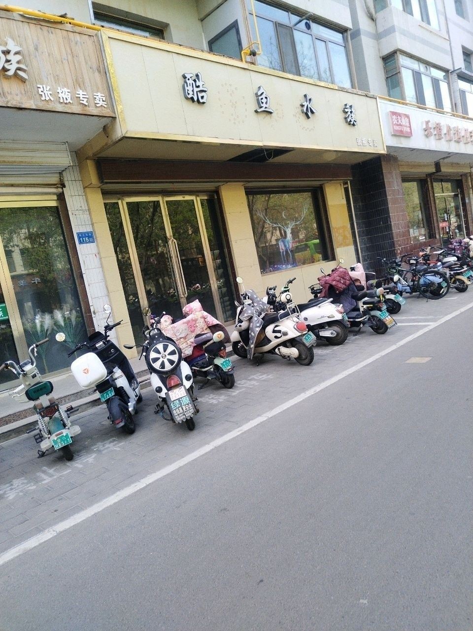 甘州開水族店怎么樣？加盟祥龍魚場賣龍魚市場怎樣？