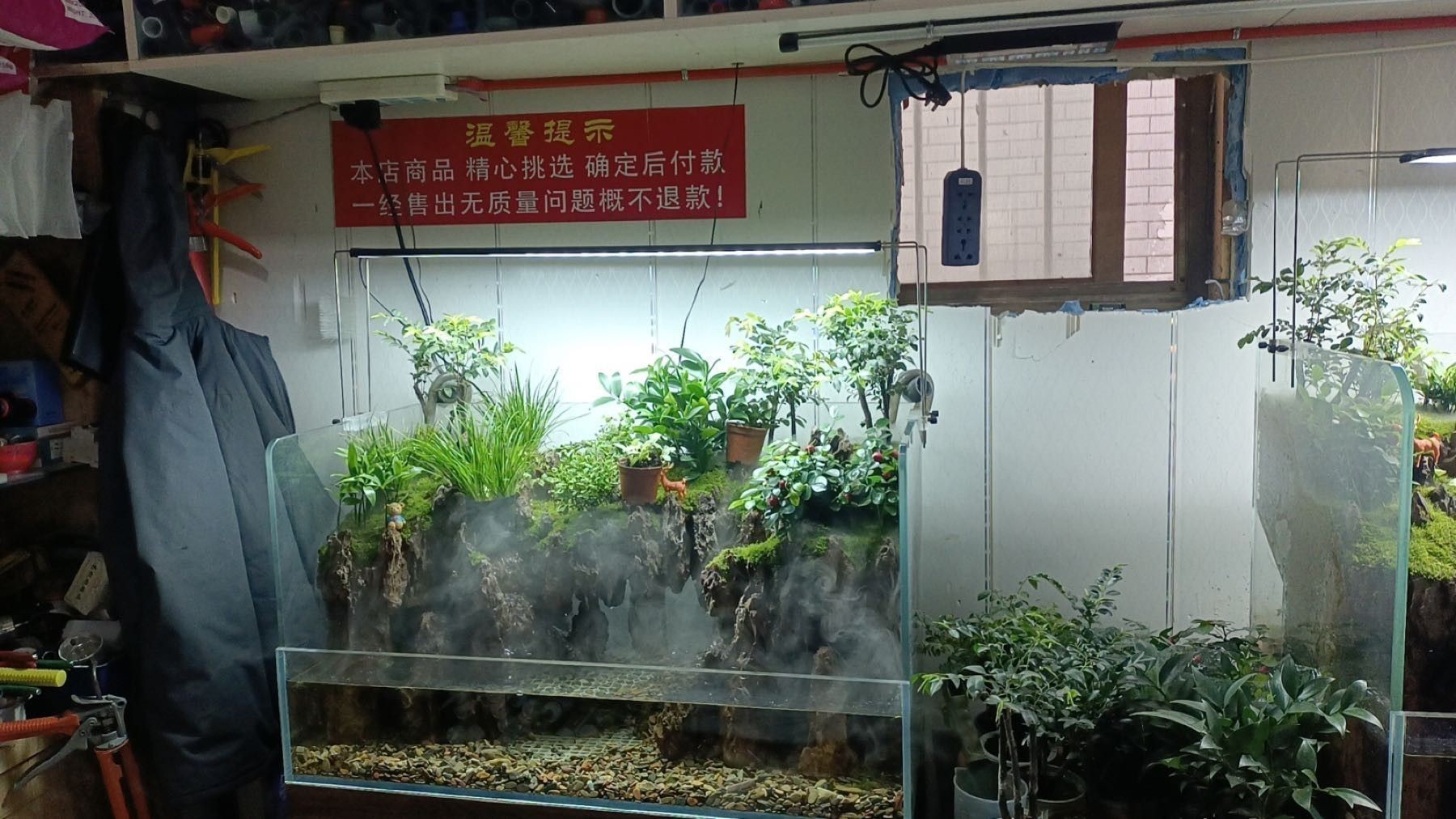 甘州開水族店怎么樣？加盟祥龍魚場賣龍魚市場怎樣？