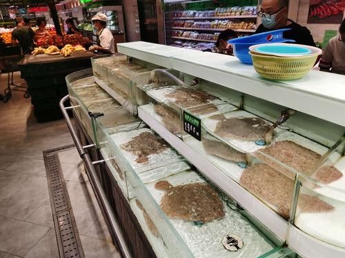 江夏開水族店怎么樣？加盟祥龍魚場(chǎng)賣龍魚市場(chǎng)怎樣？