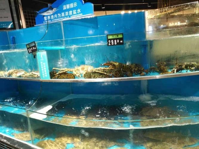 江夏開水族店怎么樣？加盟祥龍魚場(chǎng)賣龍魚市場(chǎng)怎樣？