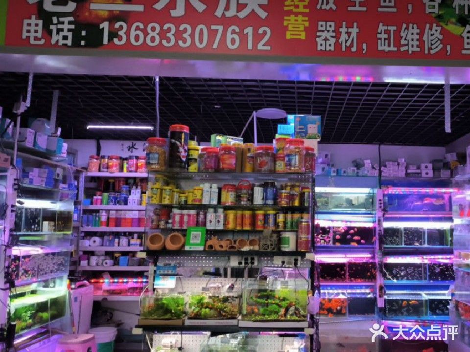 通州開水族店怎么樣？加盟祥龍魚場賣龍魚市場怎樣？