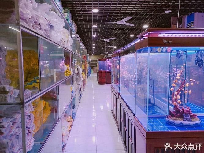 渝中開水族店怎么樣?加盟祥龍魚場賣龍魚市場怎樣? 水族館百科(水族館加盟) 第3張 渝中開水族店怎么樣?加盟祥龍魚場賣龍魚市場怎樣? 渝中開水族店怎么樣?加盟祥龍魚場賣龍魚市場怎樣? 水族館百科(水族館加盟) 第3張