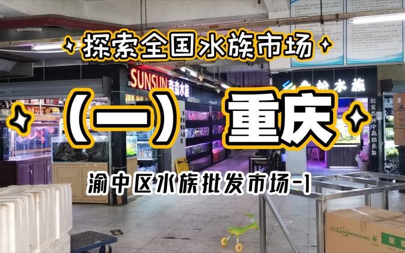 渝中開水族店怎么樣?加盟祥龍魚場賣龍魚市場怎樣? 水族館百科(水族館加盟) 第6張 渝中開水族店怎么樣?加盟祥龍魚場賣龍魚市場怎樣? 渝中開水族店怎么樣?加盟祥龍魚場賣龍魚市場怎樣? 水族館百科(水族館加盟) 第6張