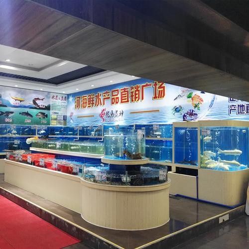 平川開水族店怎么樣？加盟祥龍魚場賣龍魚市場怎樣？