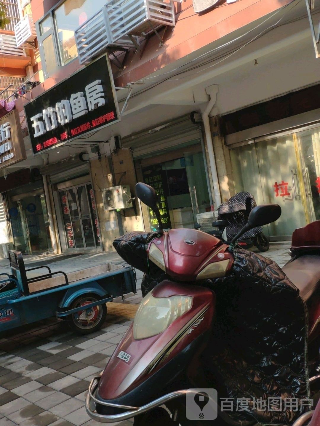 金壇開(kāi)水族店怎么樣？加盟祥龍魚(yú)場(chǎng)賣(mài)龍魚(yú)市場(chǎng)怎樣？