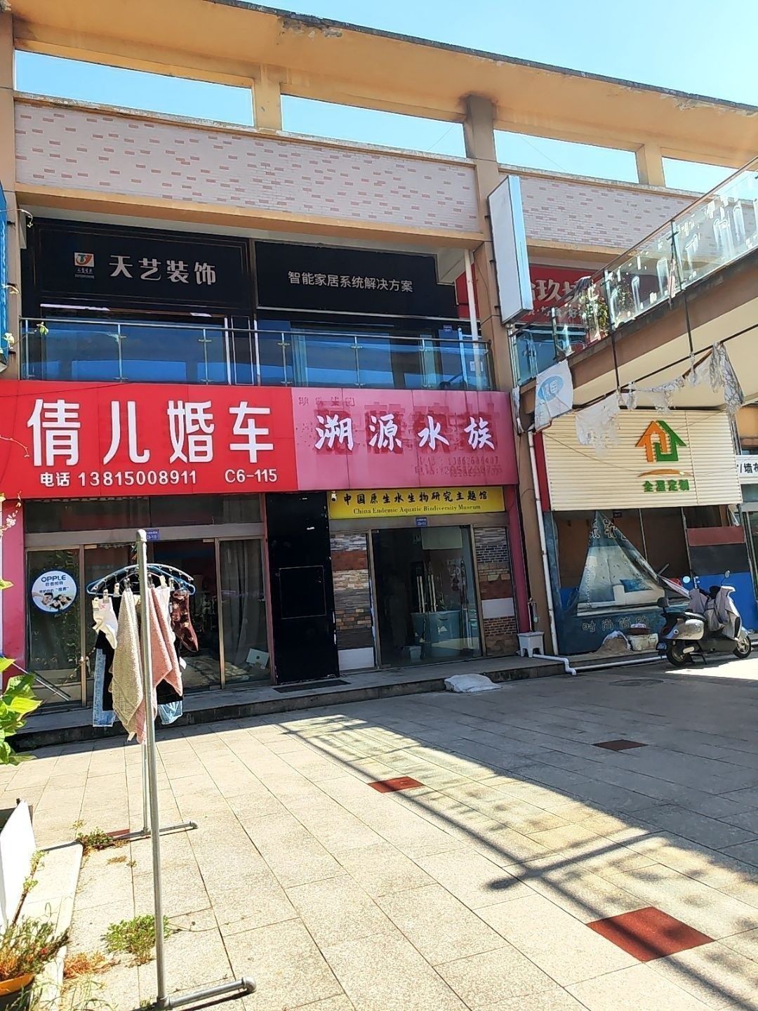 金壇開(kāi)水族店怎么樣？加盟祥龍魚(yú)場(chǎng)賣(mài)龍魚(yú)市場(chǎng)怎樣？