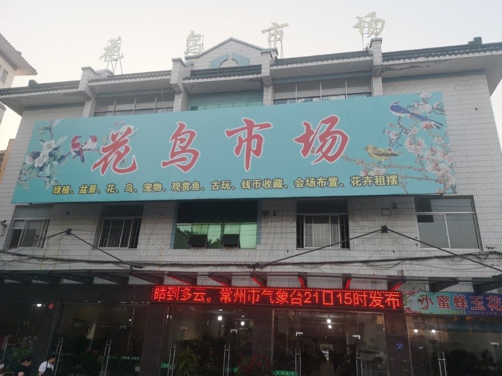 金壇開(kāi)水族店怎么樣？加盟祥龍魚(yú)場(chǎng)賣(mài)龍魚(yú)市場(chǎng)怎樣？