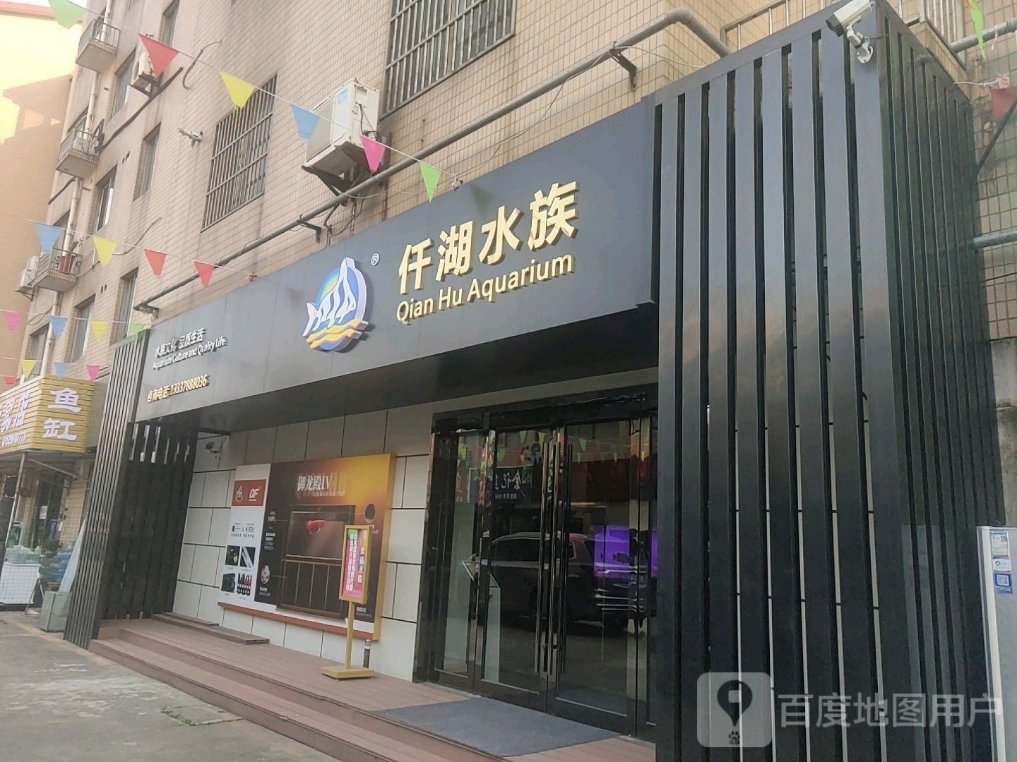 金壇開(kāi)水族店怎么樣？加盟祥龍魚(yú)場(chǎng)賣(mài)龍魚(yú)市場(chǎng)怎樣？